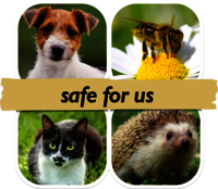 UK - Safe for us